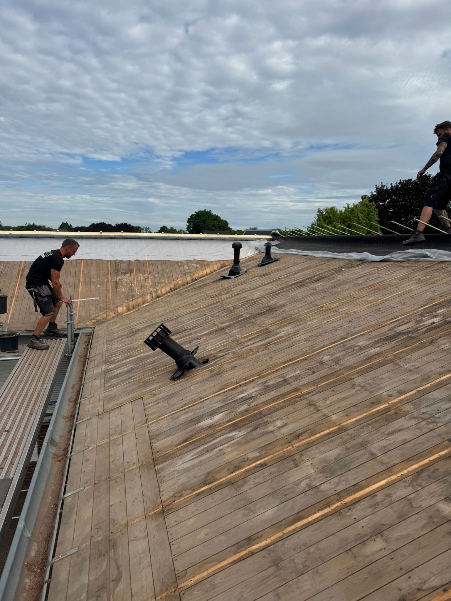 Renovatie Hellend Dak met Sarking-Systeem te Stein (NL) in Stein (NL), foto 6