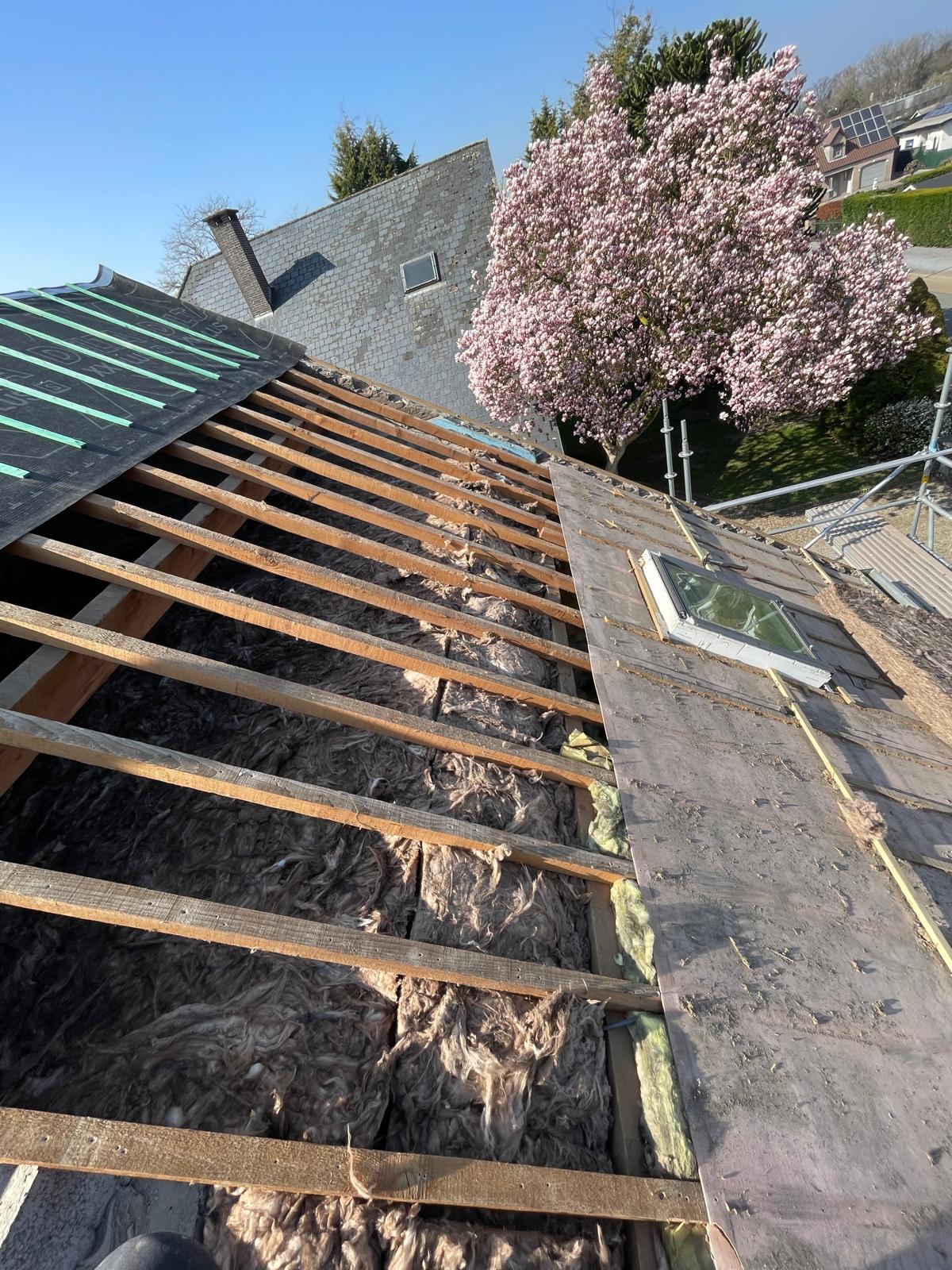 Isolatie Gebruikt Bij Renovatie Hellend Dak te Maasmechelen in Maasmechelen, foto 11