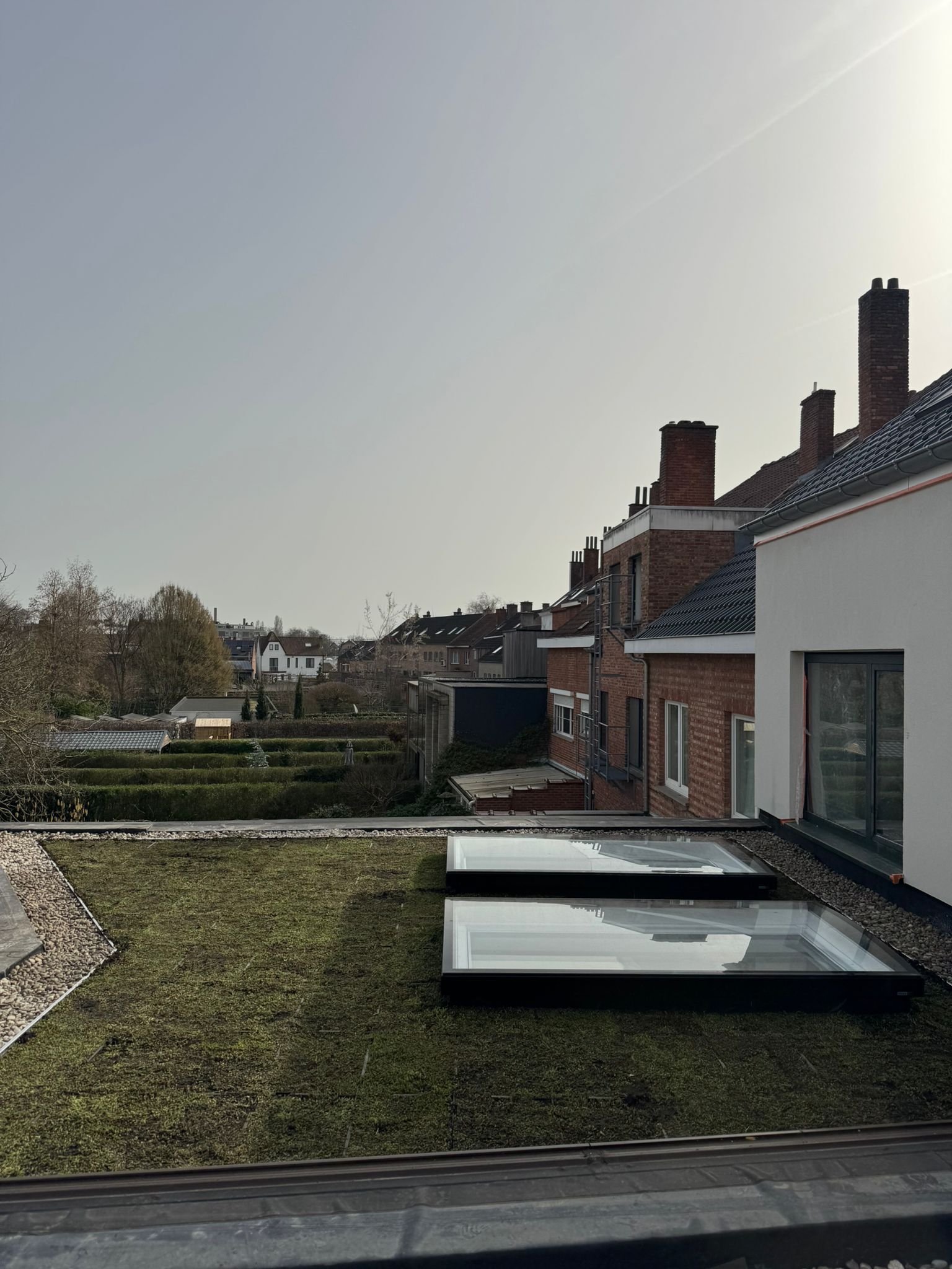 Plaatsing van Groendak te Hasselt in Hasselt