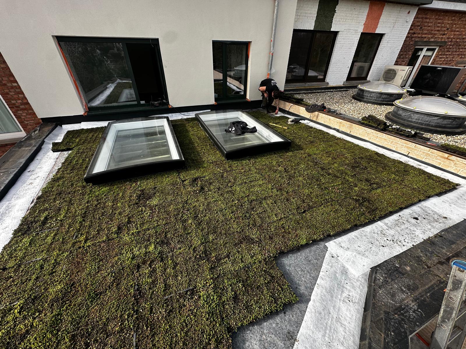 Plaatsing van Groendak te Hasselt in Hasselt, foto 3