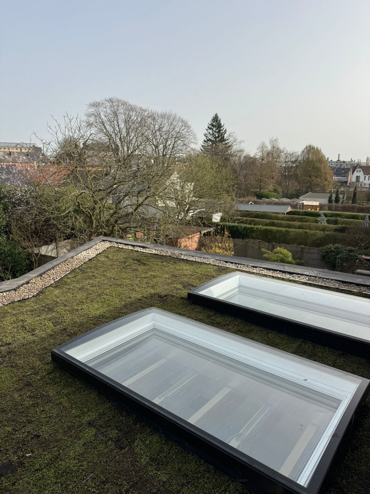 Plaatsing van Groendak te Hasselt in Hasselt, foto 4