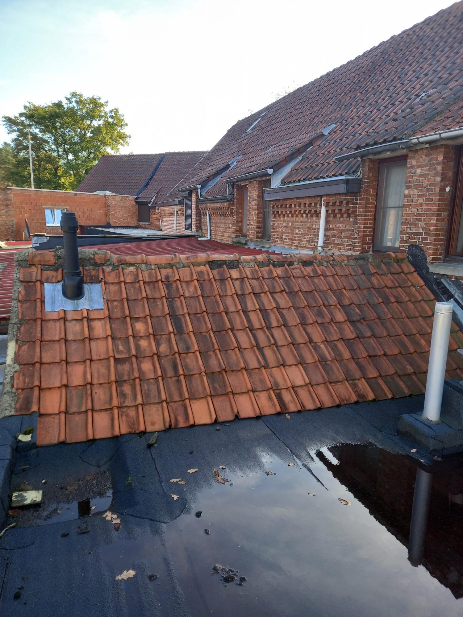 Renovatie van Hellend Dak te Houthalen-Helchteren in Houthalen-Helchteren, foto 4