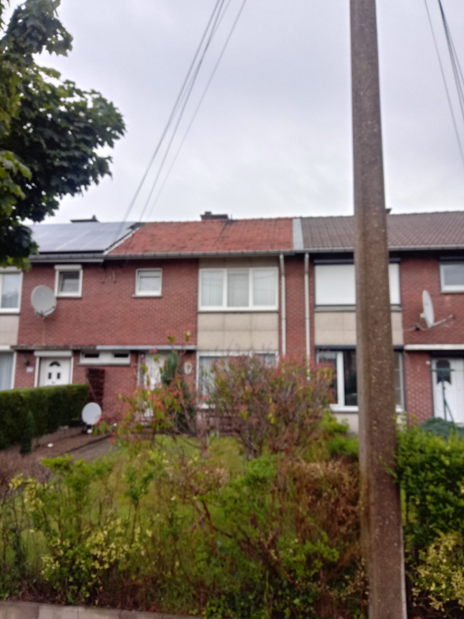 Renovatie Hellend Dak te Eisden I.s.m. Maaslands Huis in Eisden I.s.m. Maaslands Huis, foto 2