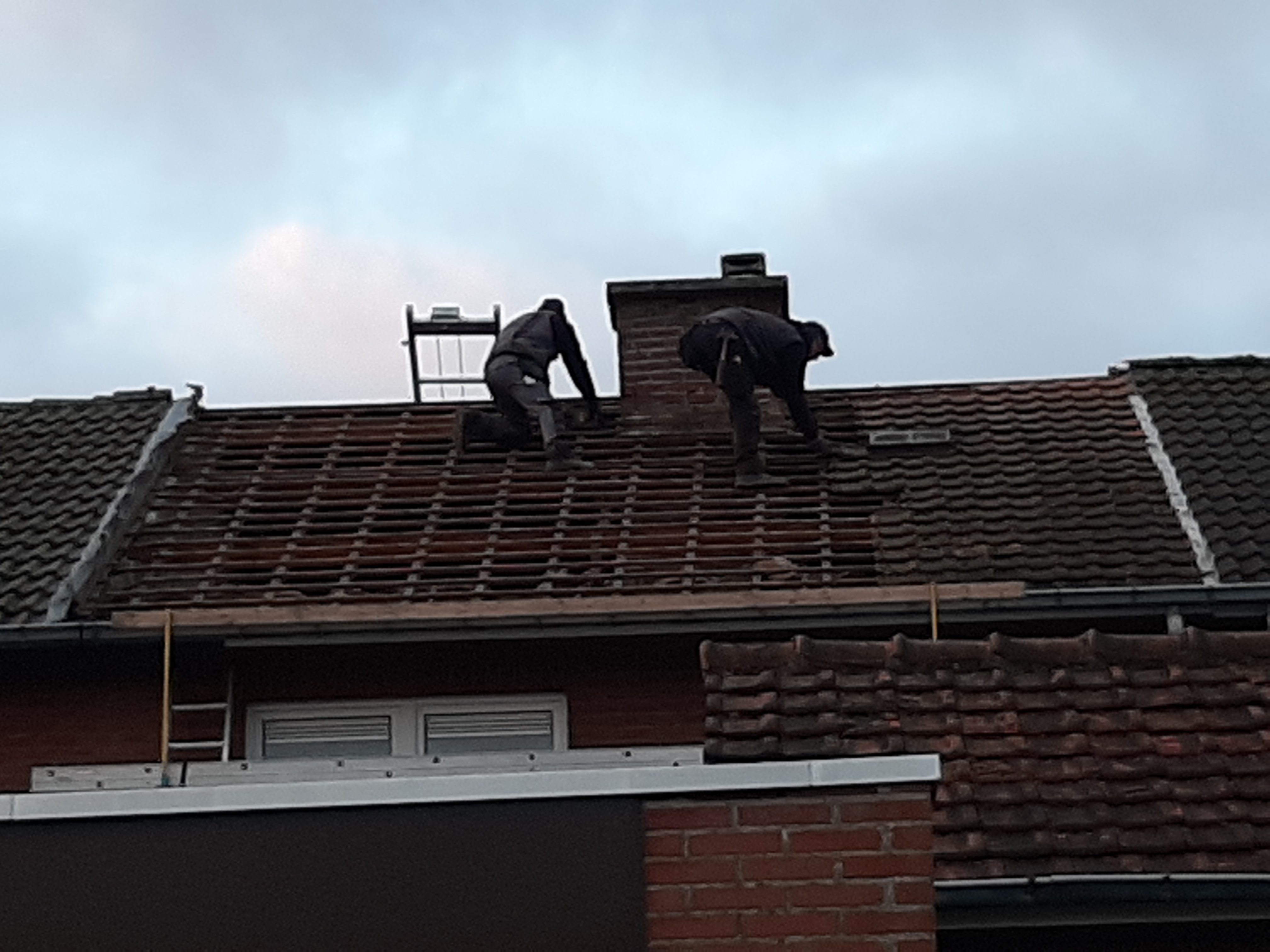 Renovatie Hellend Dak te Eisden I.s.m. Maaslands Huis in Eisden I.s.m. Maaslands Huis, foto 5