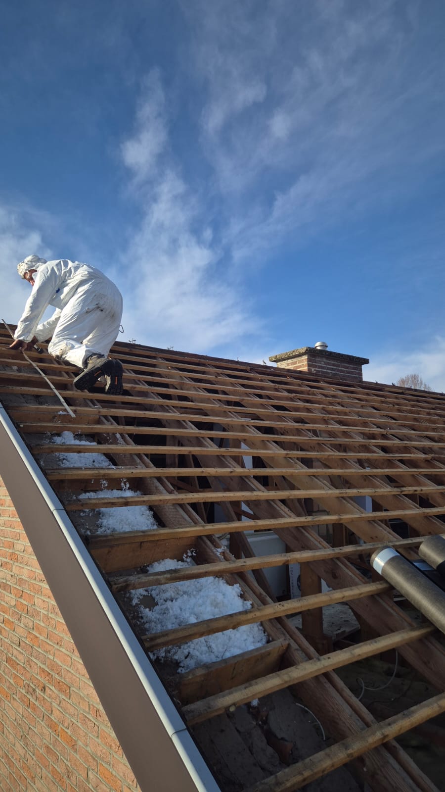 Renovatie Hellend Dak te Maasmechelen in Maasmechelen, foto 5