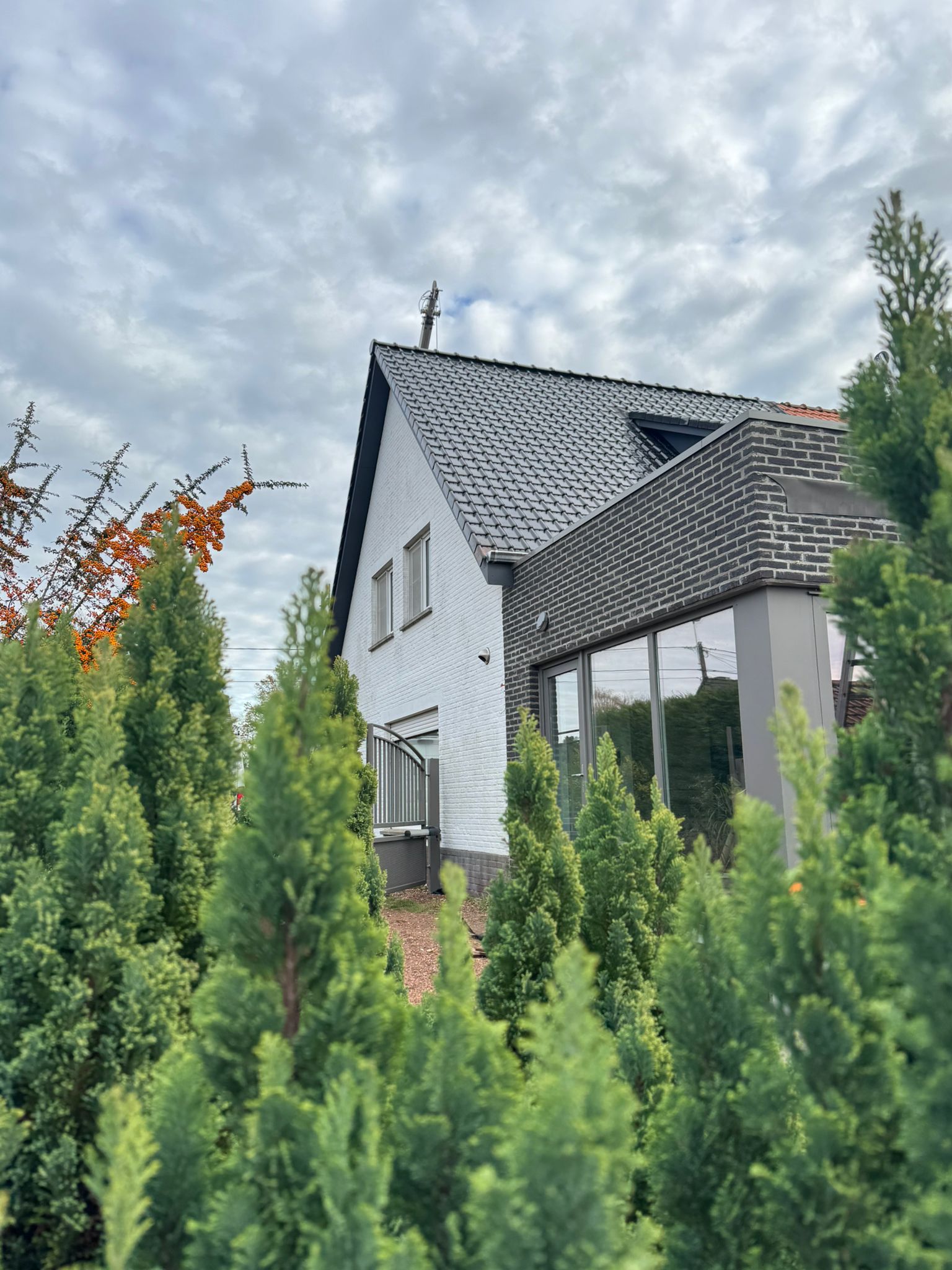 Renovatie Hellend Dak te Rotem in Rotem