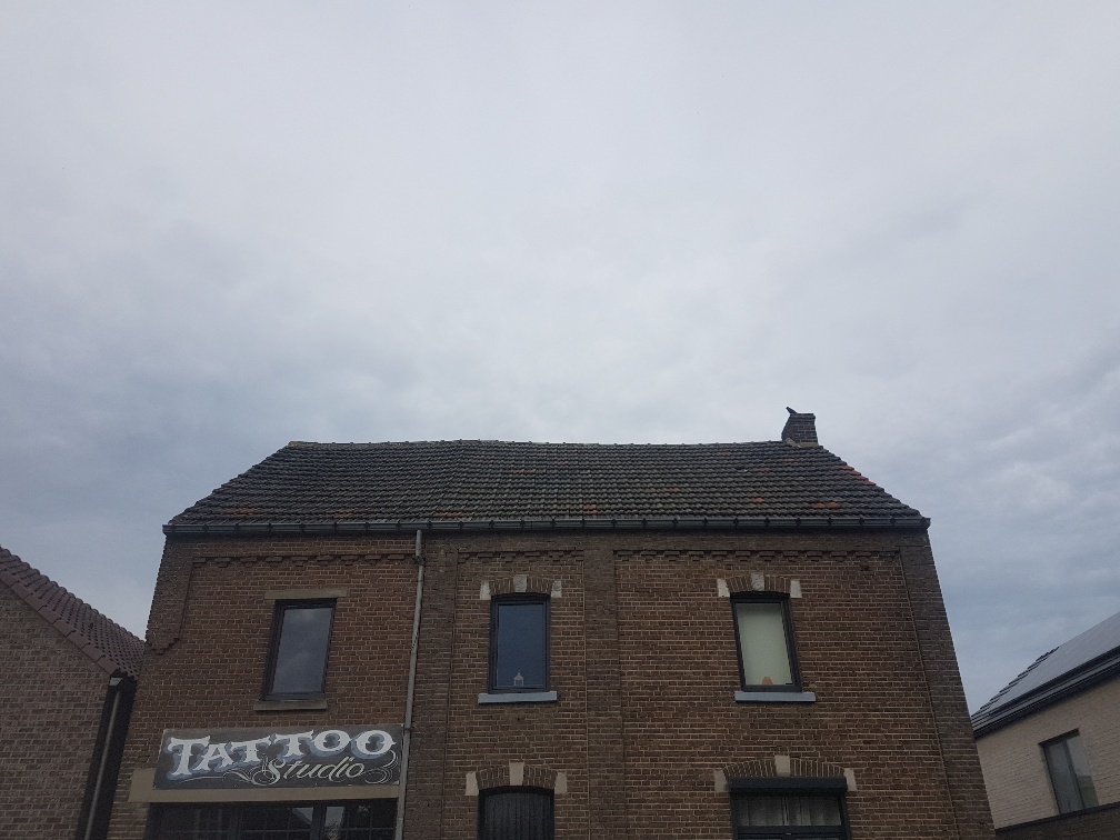 Renovatie Hellend Dak te Vucht in Vucht, foto 3