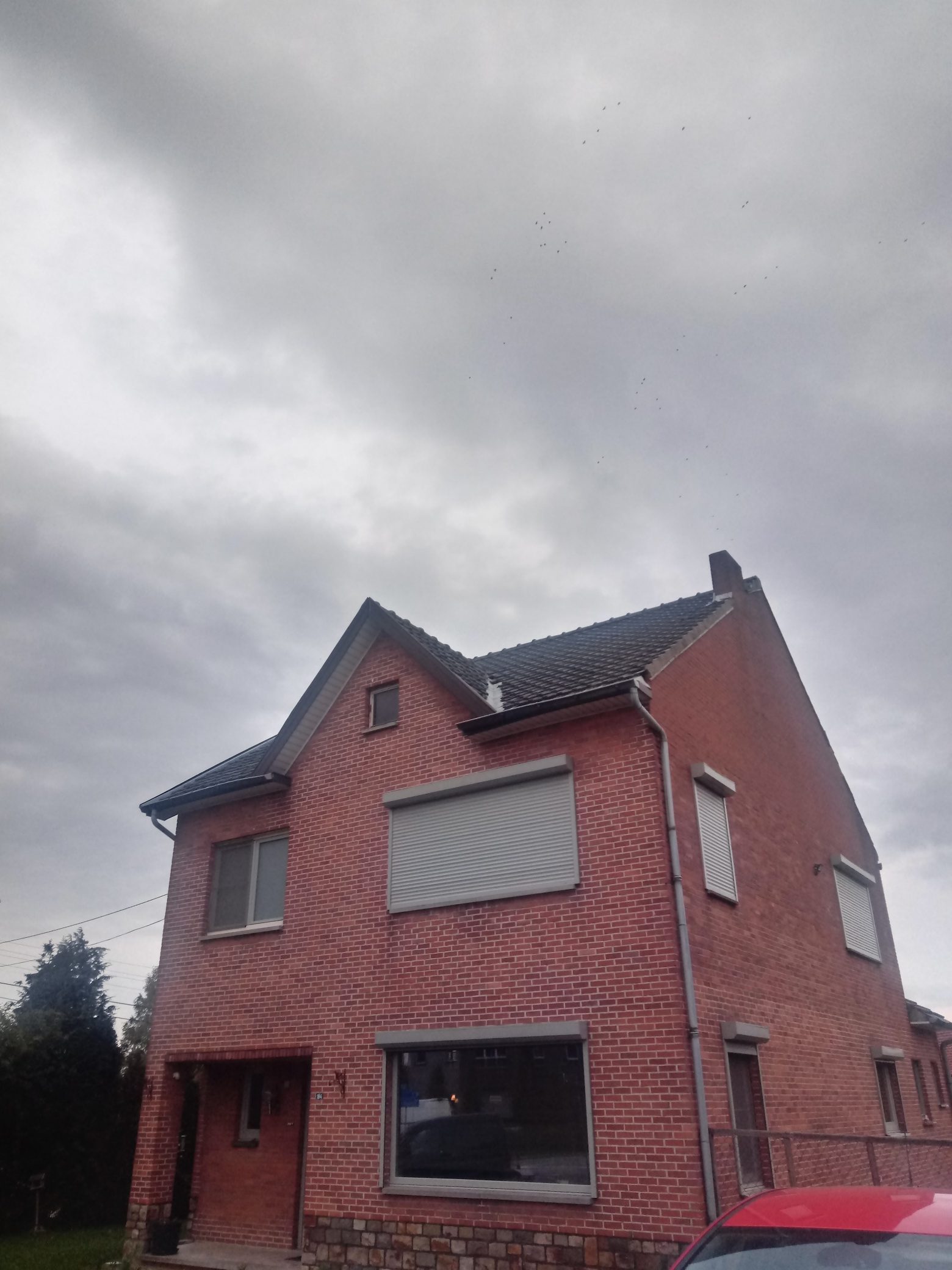 Renovatie van een Hellend en Plat Dak te Hoeselt in Hoeselt