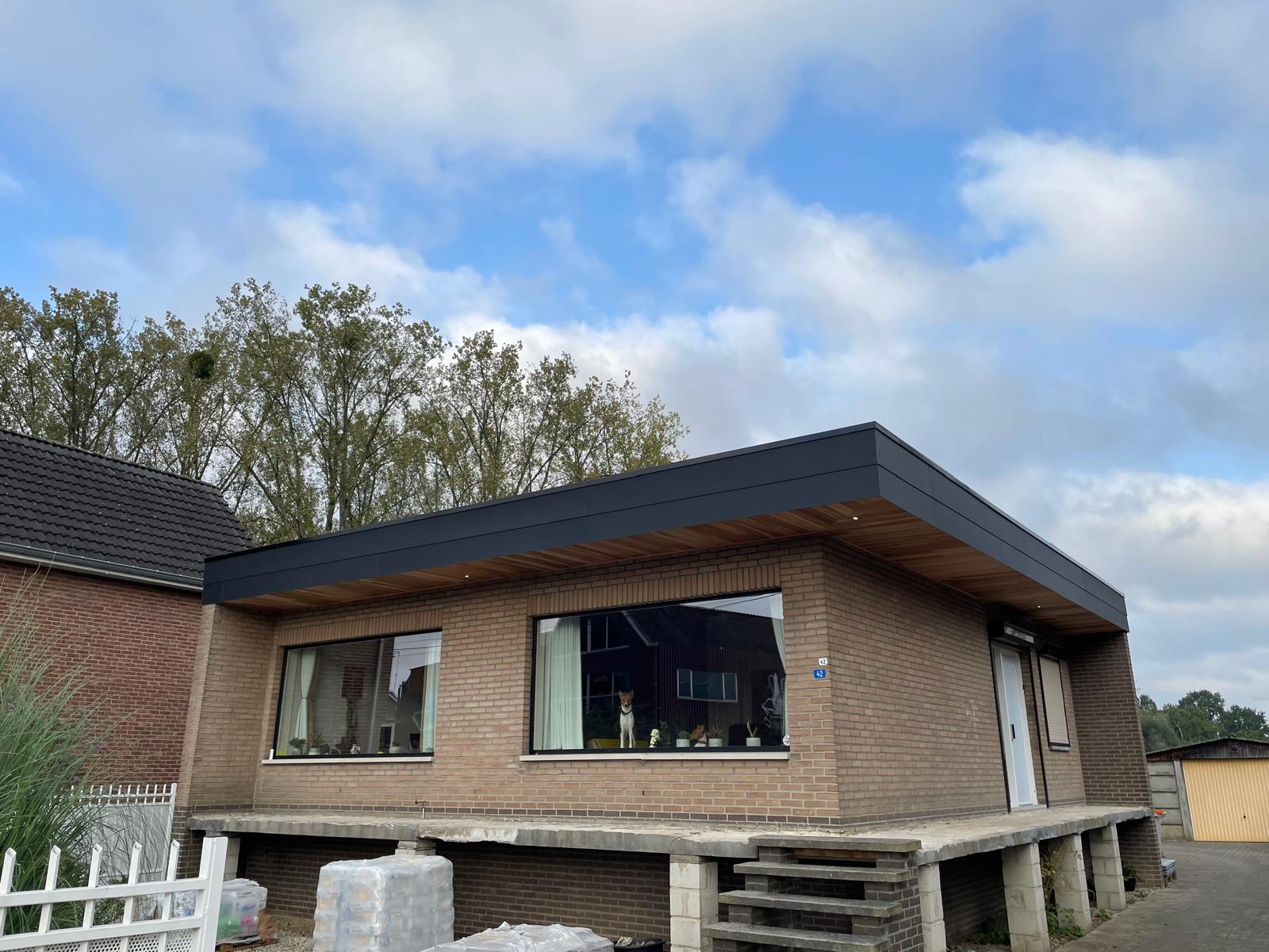 Renovatie Plat Dak te Opgrimbie in Opgrimbie