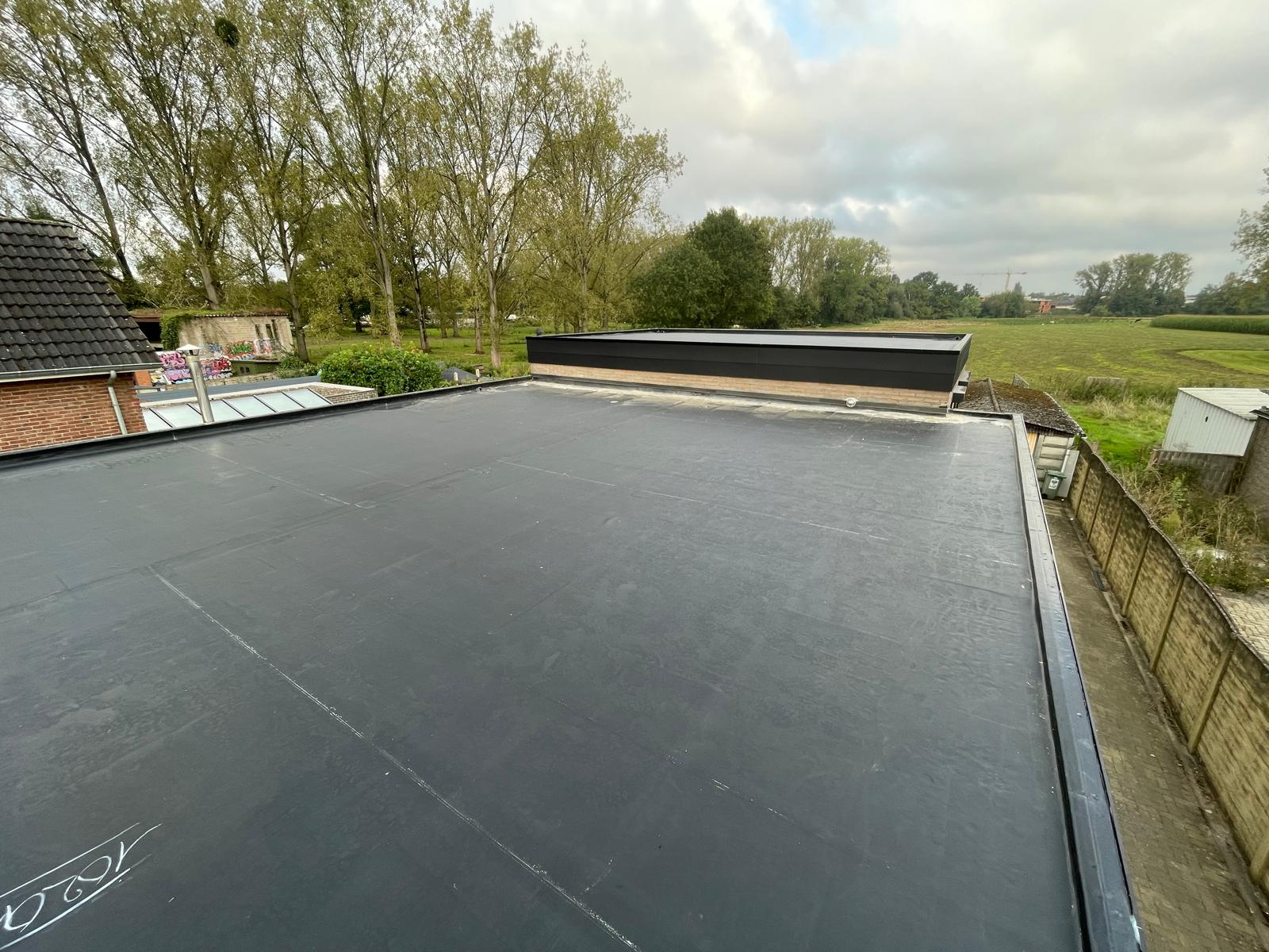 Renovatie Plat Dak te Opgrimbie in Opgrimbie, foto 4