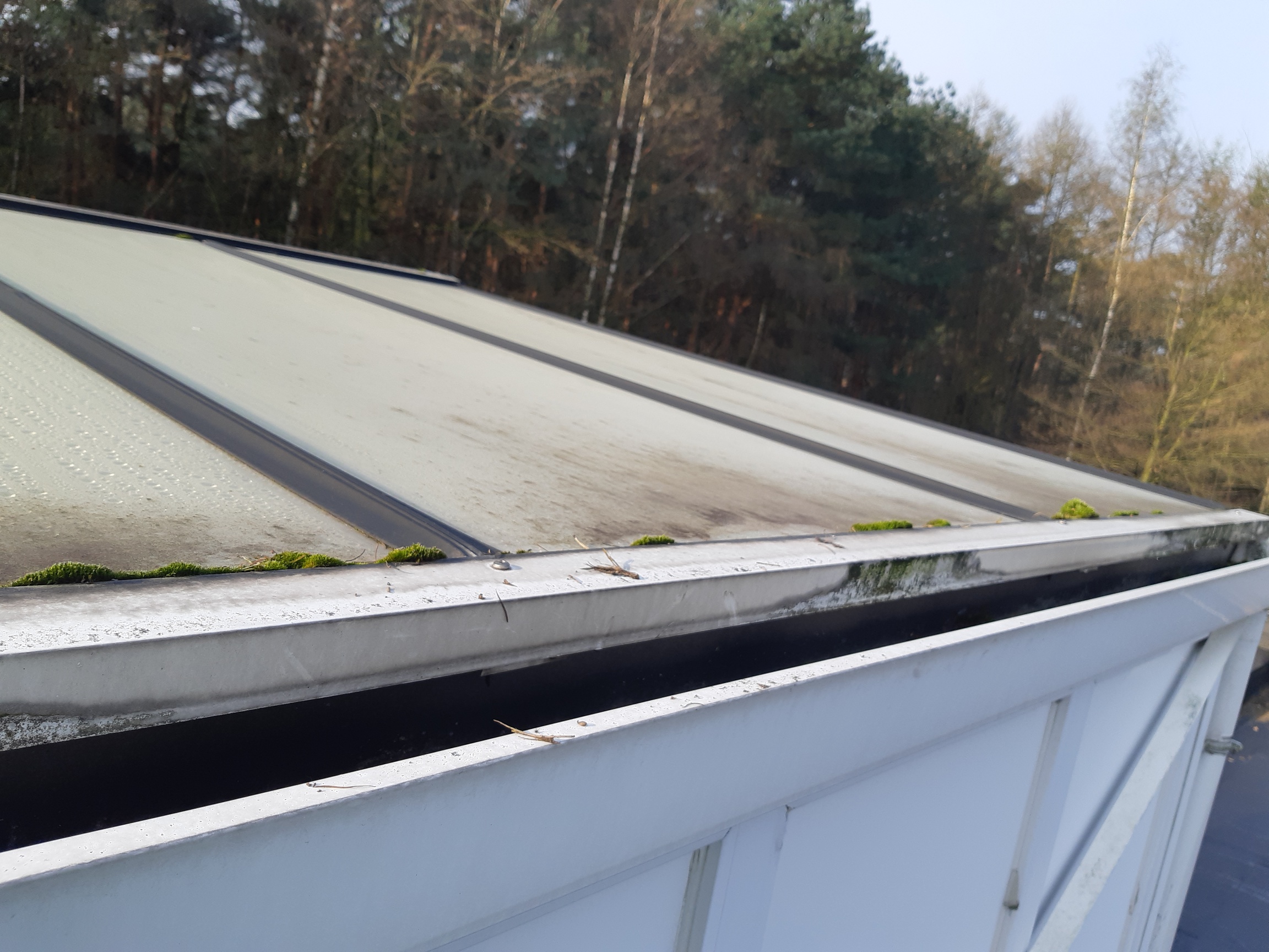 Renovatie van een Afdak + Huisje van Zwembad Prinsenpark te Maasmechelen in Maasmechelen, foto 4