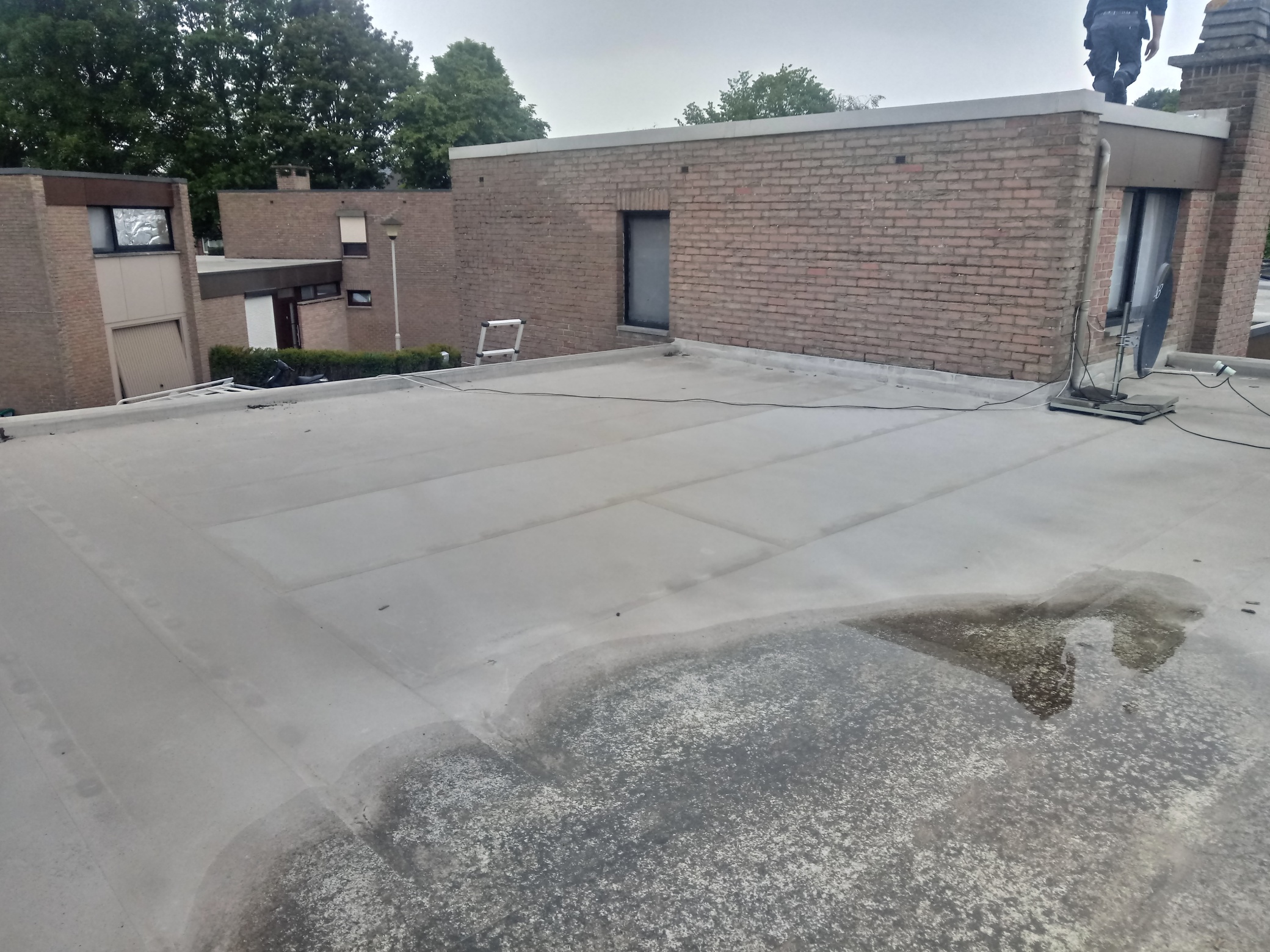 Renovatie van een Plat Dak in PVC Alkor te Eisden in Eisden, foto 3