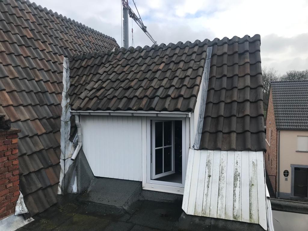 Renovatie van Hellend Dak te Leut in Leut, foto 2