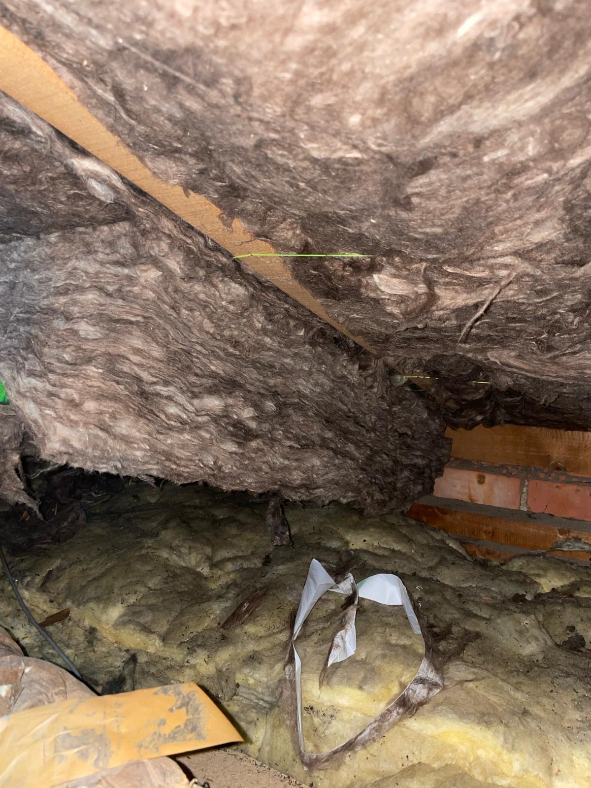 Renovatie Hellend Dak te Stokrooie in Stokrooie, foto 10