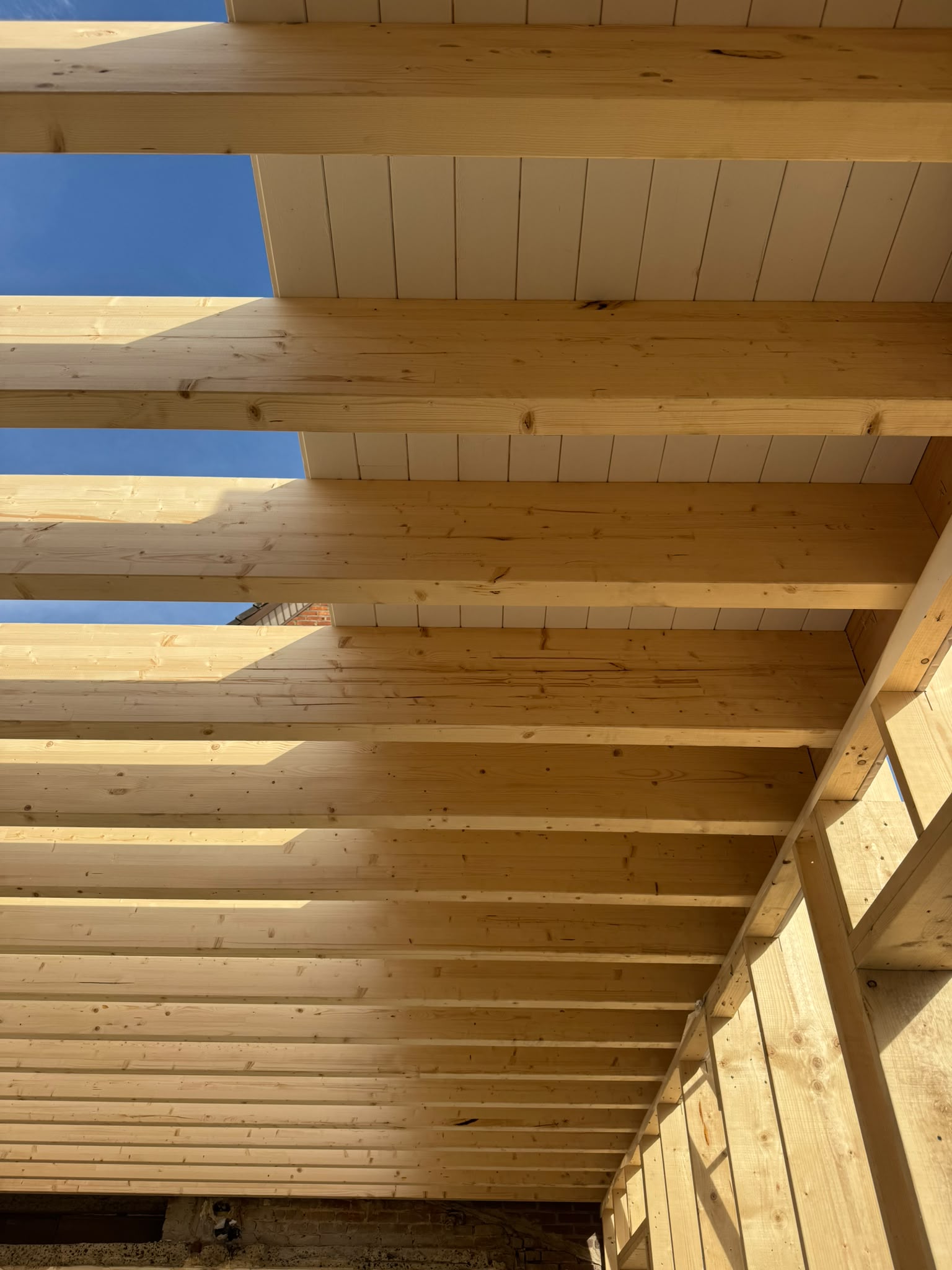Modulaire Woonuitbreiding te Eisden in Eisden, foto 8
